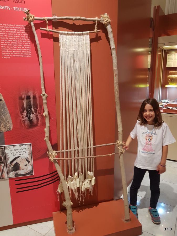 המוזיאון הארכיאולוגי בוולטה